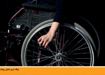 نقش نهادهای مدنی در زمینه معلولیت و توانبخشی | دلارام نبوی