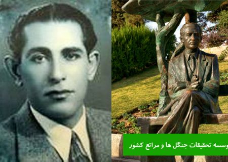 سهند ایرانمهر : به یاد کریم ساعی و سایبان سبزی که برای تهران ساخت