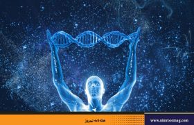در باب کورتکس آسیایی و اروپایی | علی مفتح
