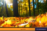 مهرگان؛ آیین مهرورزی ، سپاس یزدان و پاسداری از زمین | محمدجواد حق شناس