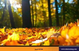 مهرگان؛ آیین مهرورزی ، سپاس یزدان و پاسداری از زمین | محمدجواد حق شناس
