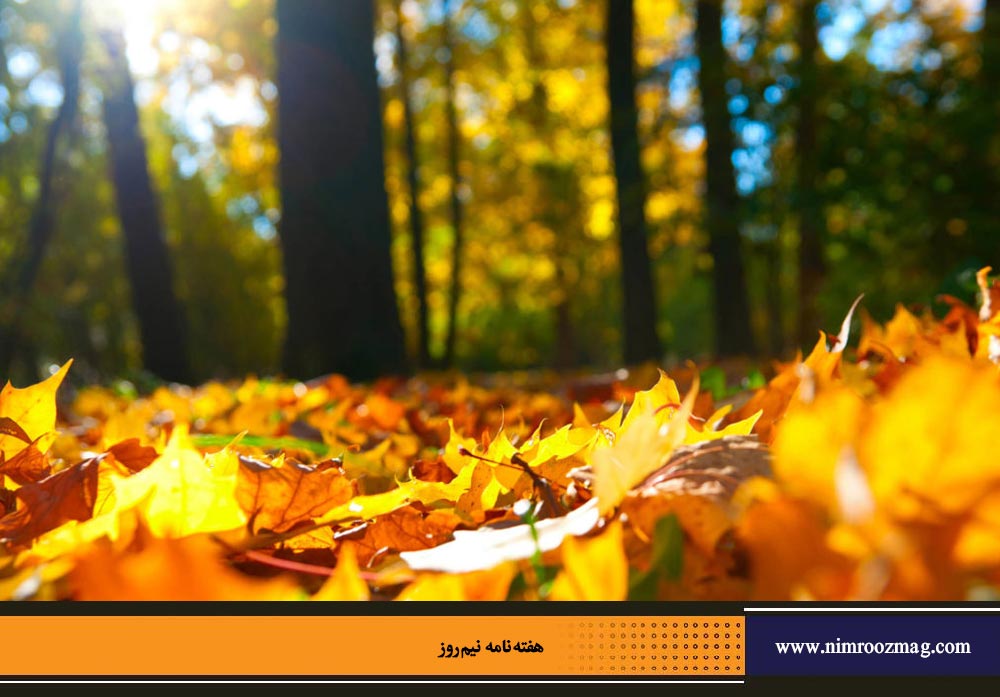 مهرگان؛ آیین مهرورزی ، سپاس یزدان و پاسداری از زمین | محمدجواد حق شناس